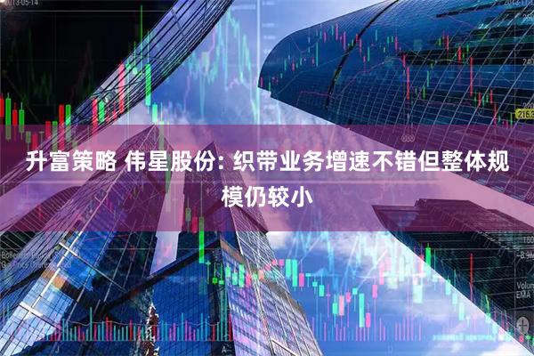 升富策略 伟星股份: 织带业务增速不错但整体规模仍较小