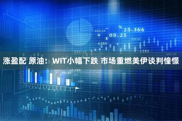 涨盈配 原油：WIT小幅下跌 市场重燃美伊谈判憧憬